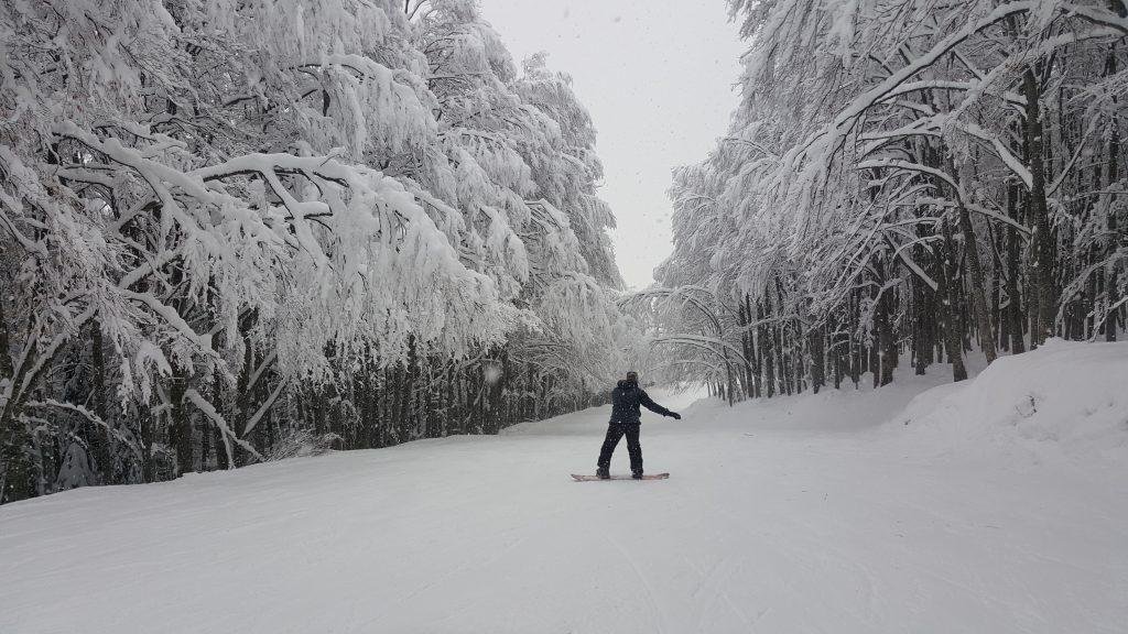 corsi di snowboard per principianti